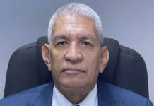 Decisiones y admisibilidad ante la Corte Penal Internacional