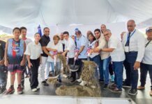 Las Comunidades Que Perseveran Terminan Escribiendo Su Propia Historia.