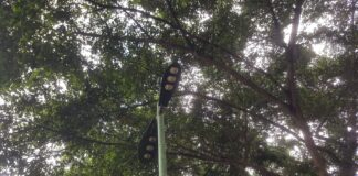 Operativo de iluminación en parque de SDE Parque Altos de Cancino recibe operativo de iluminacion